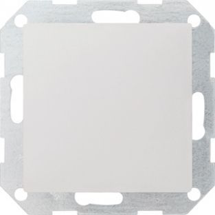 Gira blindplaat ZWM 026827